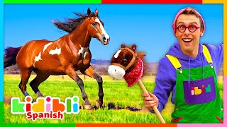 Aprendamos Sobre Caballos | Videos Educativos Para Niños | Kidibli