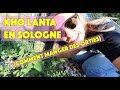 Kho lanta en sologne comment manger de lortie