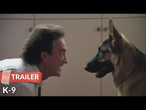 Vidéo: Valeur nette de Jim Belushi