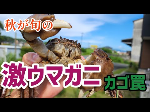 I Tried Catching Delicious Crabs With a Basket Trap - YouTube