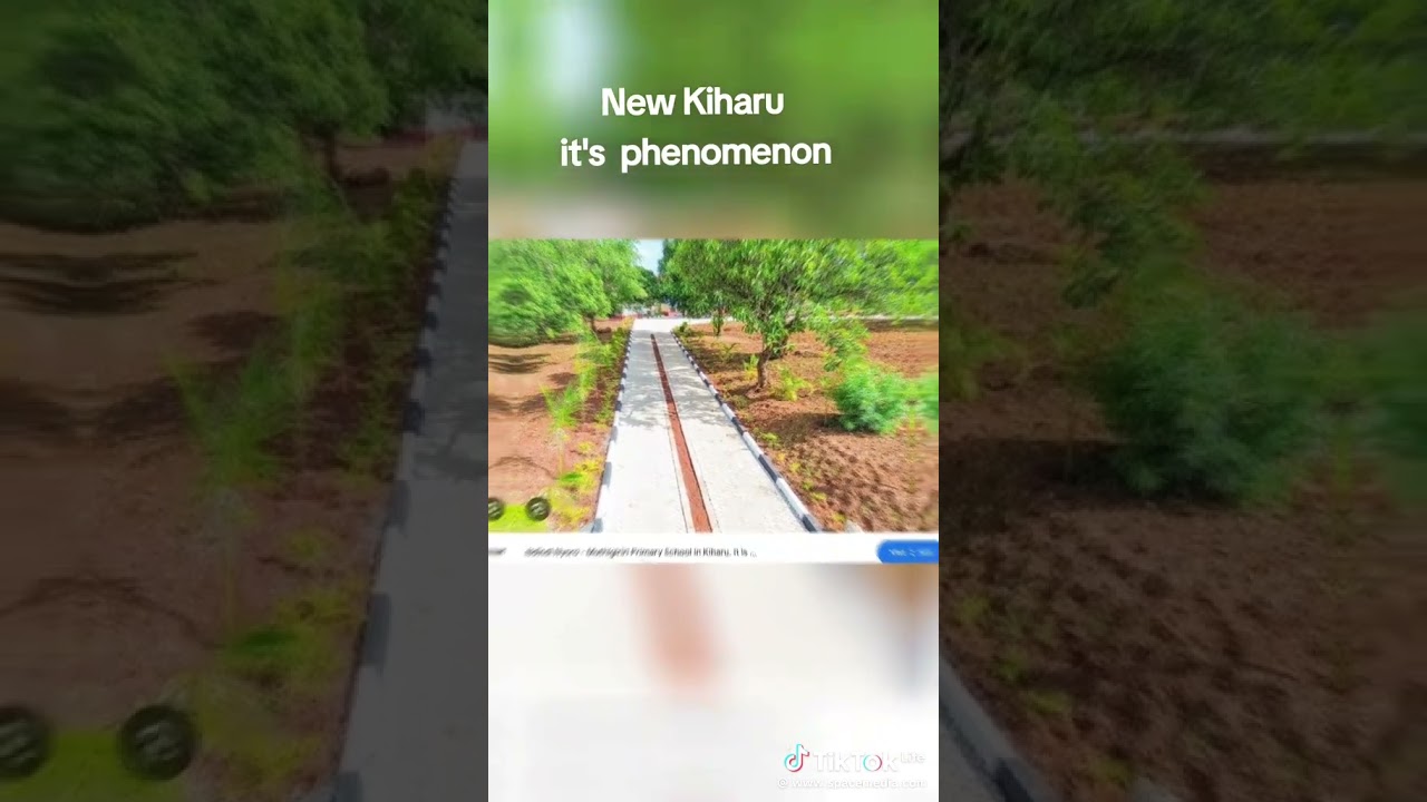 Kiharu NG-CDF Projects