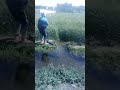 لاول مره الحاج عبده واولاده يزقوالزرعه