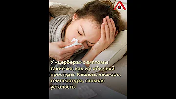 «Цербер» на смену «омикрону»: чем опасен новый штамм