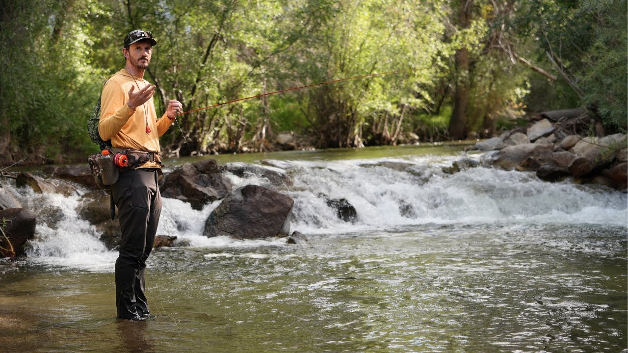Mid-August Fly Fishing Report Video