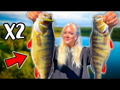 Video: Fisk Med Tartarsaus