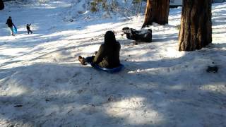 Boricua en la nieve jajaja, sueño cumplido!!! (California) 2017