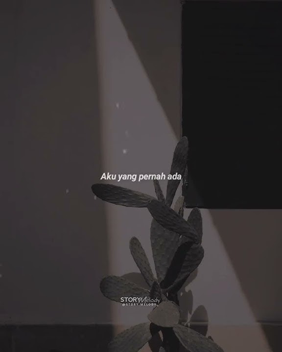 Aku bisa - flanella (story wa)
