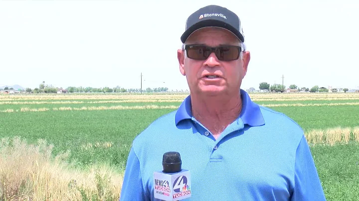 Arizona farmers face water shortage