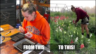 FINALLY Starting My Grow Along Seeds! : Snapdragons, Rudbeckia & Baby's Breath : Flower Hill Farm