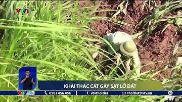 Khai thác cát gây sạt lở đất nông nghiệp | VTVWDB