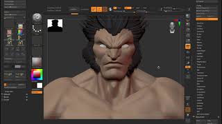 Customize Zbrush UI