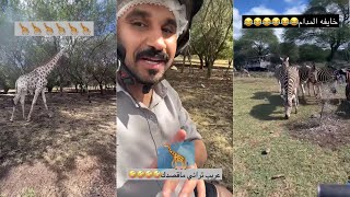 ركب دباب🏍️وزوجته خافت من حمار وحشي🦓💔🤣|سنابات نايف الوثلان