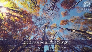 تلاوة عذبة للقارئ محمد كمال هاشم 💙🍃