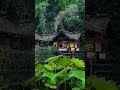 待我了无牵挂 深山老林为家 一处陋室容身 两声鸡鸣穿崖 几缕炊烟飘散 最美满院繁花 归隐深山 人间烟火 待我了无牵挂 深山老林为家 一处陋室容身 两声鸡鸣穿崖 几缕炊烟飘散 最美满院繁花 归隐深山 人间烟火