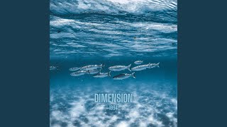 Dimension