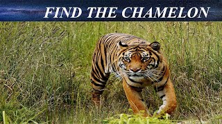 Can You Find The Hidden Objects | 99% Fail | New Game | Brain Teaser | Mind Booster