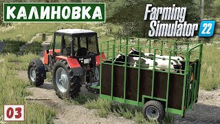 FS 22 - Карта КАЛИНОВКА.  Удобрил ПОЛЕ.  Купил КУР и КОРОВ # 3