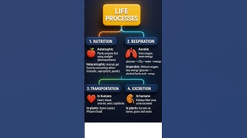 Class 10 Life Processes Mind Map🔥 | Easy Revision in 5 Minutes | Class 10 Science Chapter 5 #class10