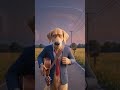 Puppy Love — Chad sings to Buffy | DNN #Shorts