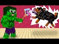 Monster School : Hulk is the best in witch school  - Sad Story - Minecraft Animation