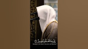تلاوة هادئة للشيخ ناصر القطامي 🤍.   #تلاوة_خاشعة #تلاوة #ناصر_القطامي #القرآن_الكريم