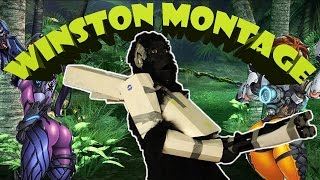 INCREDIBLE WINSTON MONTAGE