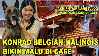 ANJINGNYA HANNY BIKIN MALU DI CAFE