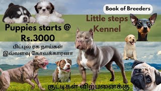 Pitbull | American bully | Dogs and puppies for sale in low price | Kennel in tamil nadu | Erode dt by Book of breeders 4,125 views 8 months ago 13 minutes