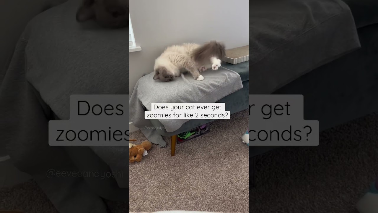 A couple bunny kicks then back to normal😂