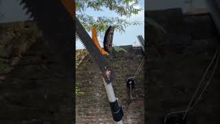 Gunti pemotong teleskopik #renosteel #spillracunshopee #gunting #gergaji