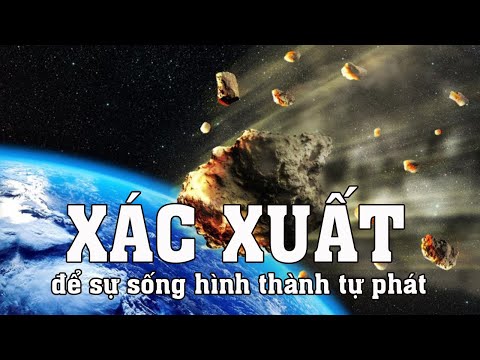 Video Xác suất để sự sống hình thành tự phát - youtube