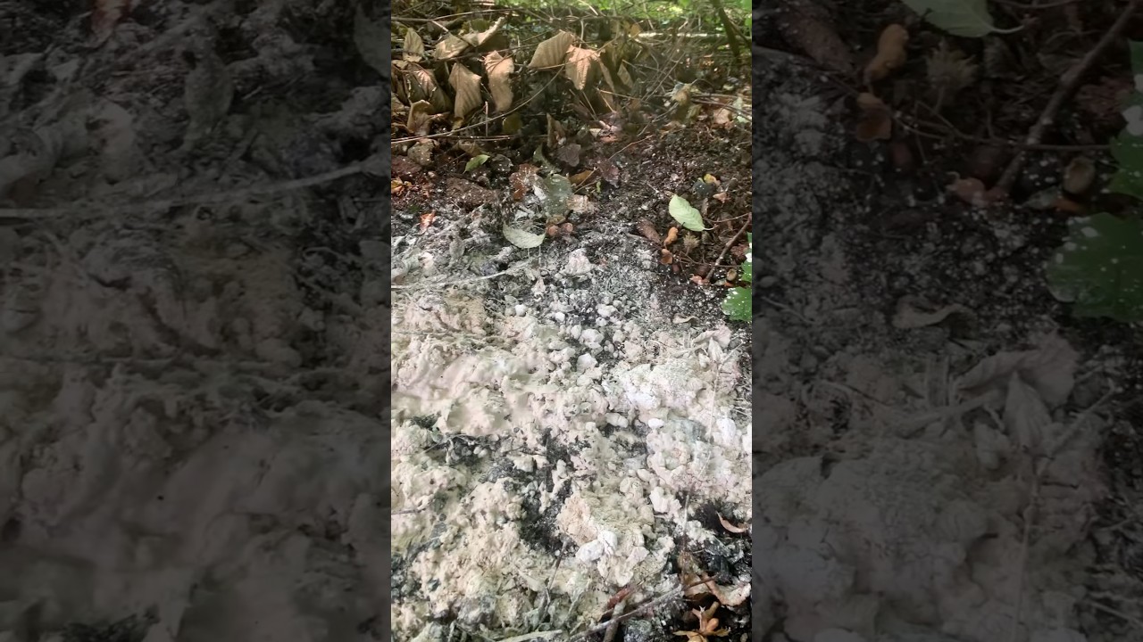 How to dispose your calcium oxide 🌳 