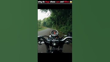 Why Do Dogs Chase Bike #youtubeshorts