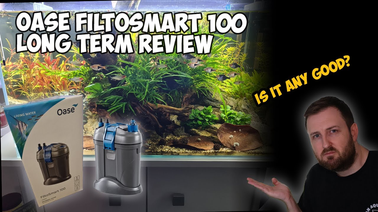 Стоит ли покупать Oase Filtosmart Thermo 100? Долгосрочный обзор и первая чистка!