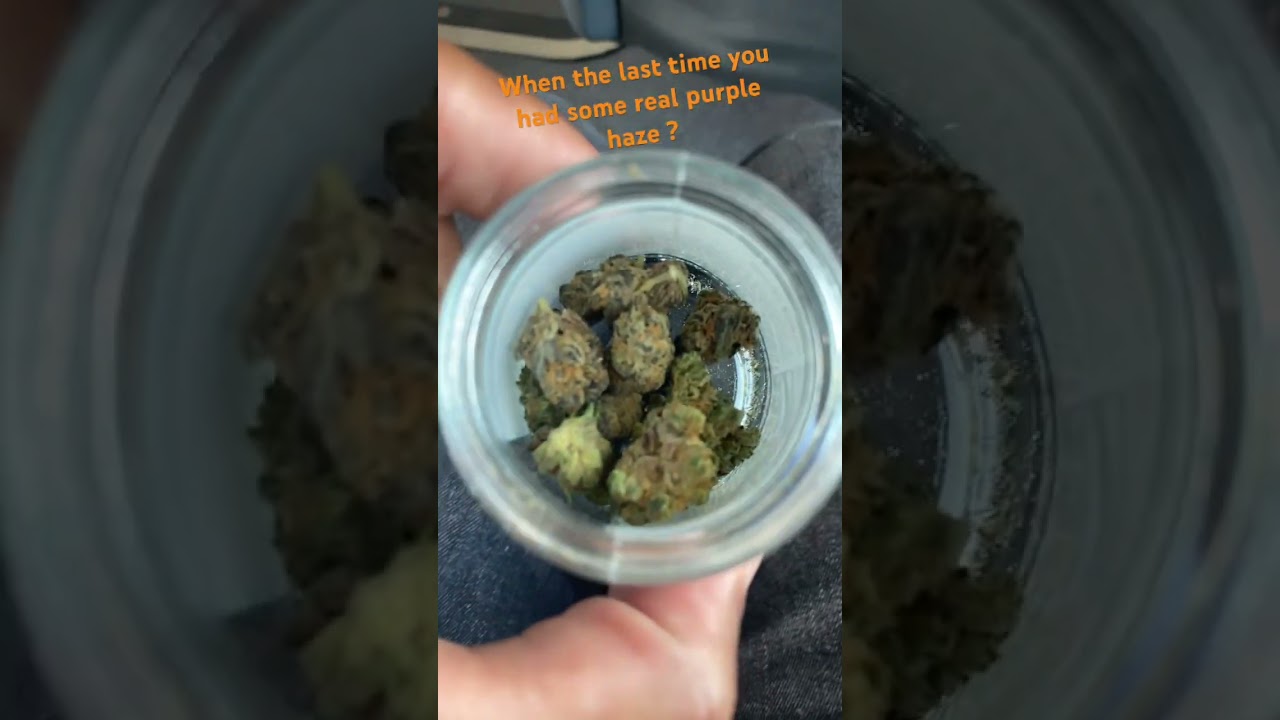 🔥🔥 Ran across some purple Haze ⛽️ 🔥 