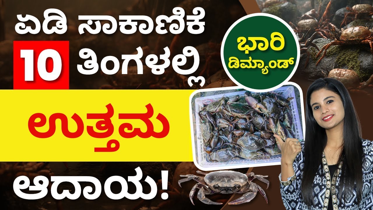 ಈ ರೀತಿಯಲ್ಲಿ ಏಡಿ ಸಾಕಿದ್ರೆ ಹೆಚ್ಚು ಆದಾಯ ಖಚಿತ! | Crab Farming In Kannada |  Mud Crab Farming