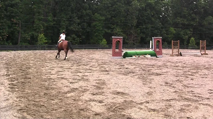 Clip #130