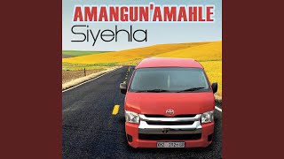 Ngikwenzeleni