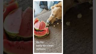 FibreGuard Fabrics: The Perfect Match for Pet Owners