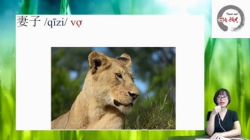 Học từ vựng tiếng Trung Hán ngữ 2- Bài 28