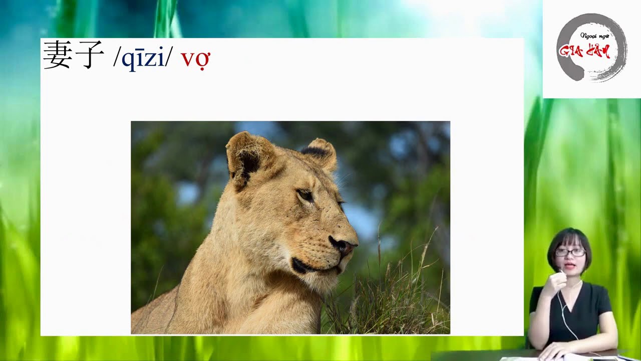 Học từ vựng tiếng Trung Hán ngữ 2- Bài 28