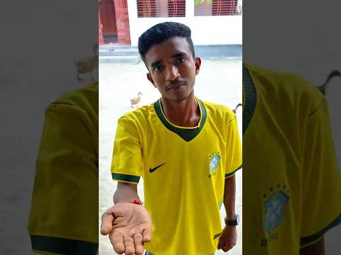 ভাই সারাদিন ধরে কিছু খাই নাই #comedy #funny