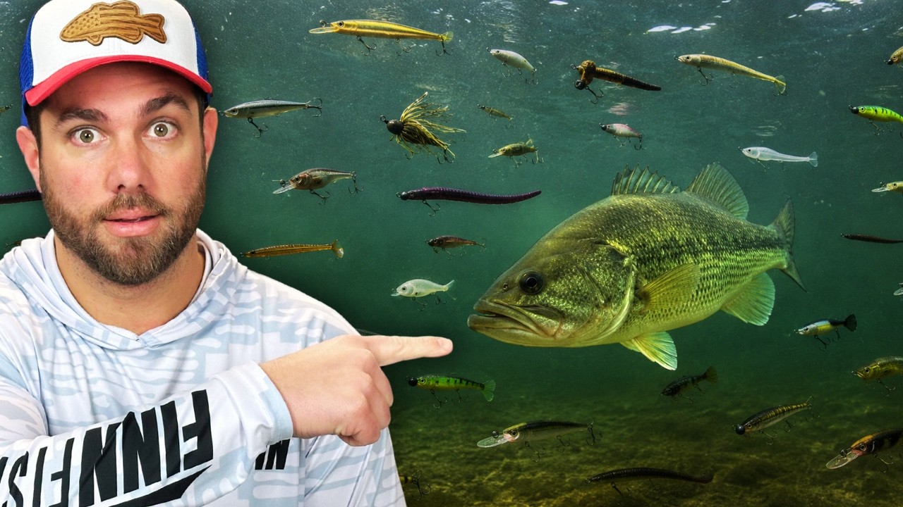 PRESSURED Bass? Here's Where They Go!