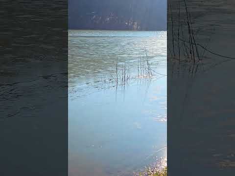 Wasser gefriert schlagartig