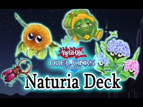 Naturia PVP Deck Showcase King of Games | Yu-Gi-Oh! Duel Links