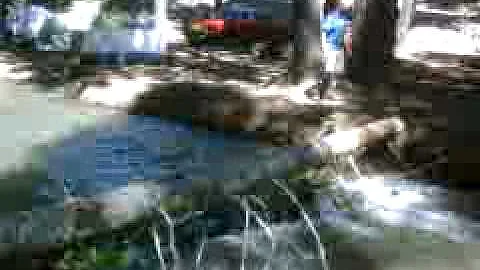 Chris Samsel log ride