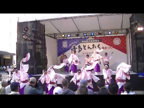 ふくこい連　博多どんたく港まつり２０１８　さくらぼんち