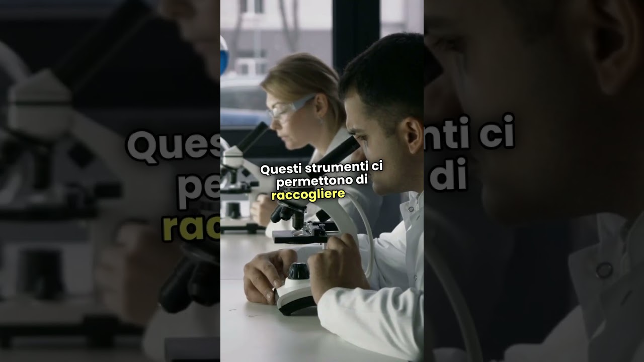 Gli Insetti  Indicatori di Salute Ambientale!