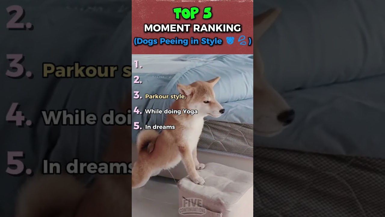 Top 5 Dogs Peeing in Style 🐶💦 #funny #lol #dogs