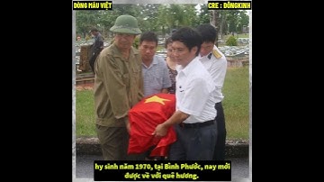 Hành Khách Đặc Biệt !    #Shorts #dongmauviet